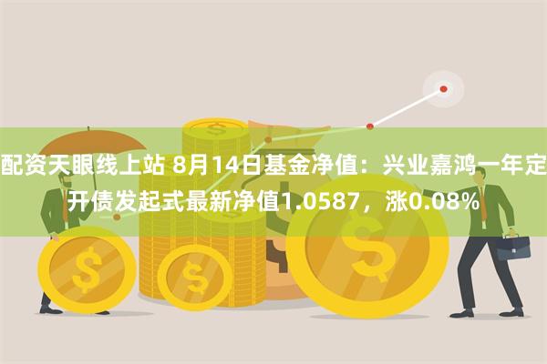 配资天眼线上站 8月14日基金净值：兴业嘉鸿一年定开债发起式最新净值1.0587，涨0.08%