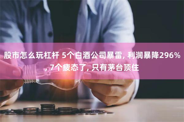 股市怎么玩杠杆 5个白酒公司暴雷, 利润暴降296%, 7个疲态了, 只有茅台顶住