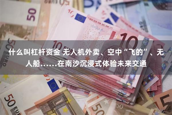 什么叫杠杆资金 无人机外卖、空中“飞的”、无人船……在南沙沉浸式体验未来交通