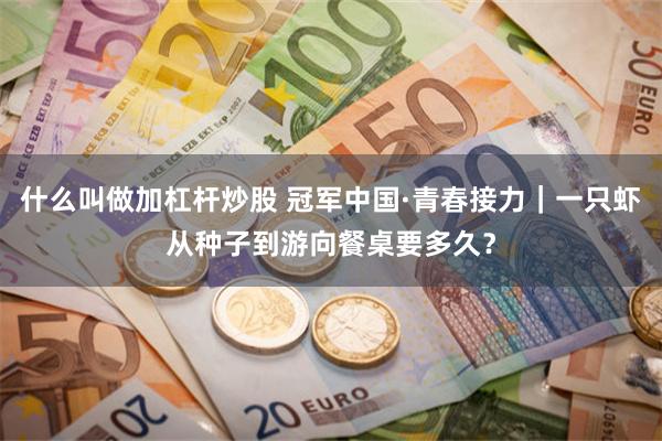 什么叫做加杠杆炒股 冠军中国·青春接力｜一只虾从种子到游向餐桌要多久？