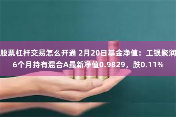 股票杠杆交易怎么开通 2月20日基金净值：工银聚润6个月持有混合A最新净值0.9829，跌0.11%