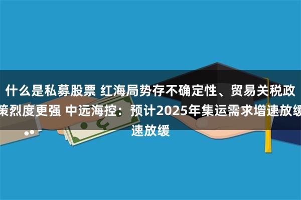 什么是私募股票 红海局势存不确定性、贸易关税政策烈度更强 中远海控：预计2025年集运需求增速放缓